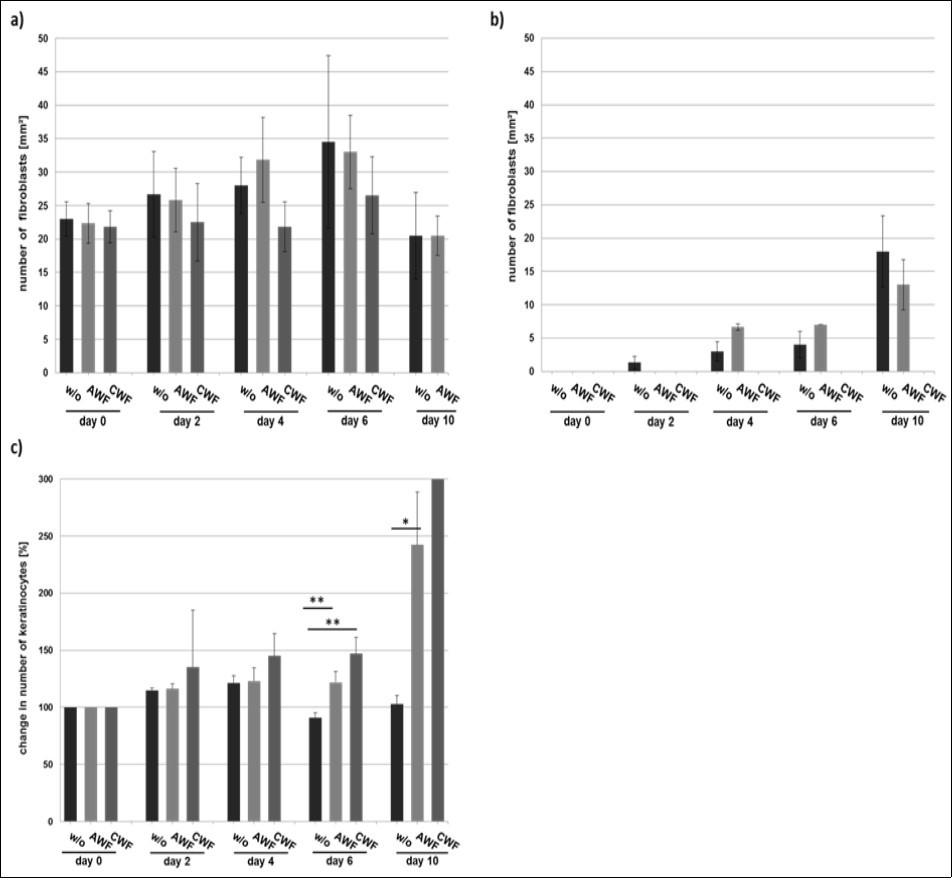 Quantification of fibroblasts and keratinocytes during wound healing in dependency of AWF and CWF application. (a) The wound edges a slight increase of the number of fibroblasts in the control and AWF treated cultures up to day 10 was determined. CWF supplementation induced a complete cell loss after 10 days in vitro. (b) With proceeding time fibroblasts arrived in the wound base. AWF slightly stimulated the migration of fibroblasts compared to the control, especially in the initial phase of regeneration up to day 6. The presence of chronic wound fluid impaired migration. Under this condition no fibroblasts were detected during the whole period. (c) The quantification of the keratinocytes revealed a significant increase of the keratinocyte population after 10 days in the CWF treated cultures. The number was not evaluable. AWF induced a continuous elevation of keratinocytes compared to the control but less effective as CWF.