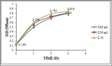 Protein content of the bacterial strain NFKVG 8 in wastewater