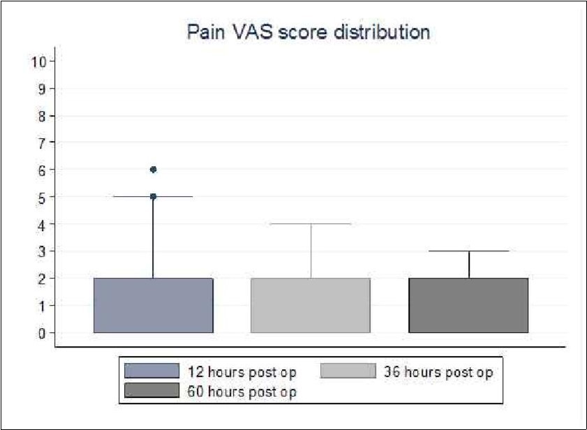 Pain VAS score distribution at 12, 36, and 60 hours after surgery.