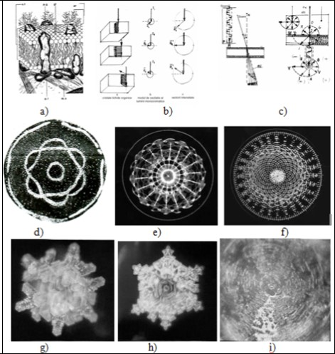 The human body complementary signifiers (memory support) of the sonorous stimuli: a) membranous liquid crystal structures; (b) the orientation of the liquid crystals conforming the (sonorous) stimuli characteristics (oscillation mode, intensity, etc.); c)  optical activity of the liquid crystal structures (light             refraction and rotatory magnetic dispersion) determined by               piezoelectricity; d) the pattern of sound “AAA” put into evidence by Ernest Chladni,  resonating upon a fine sand powder, placed on a very thin metallic plate; e,f) the patterns of musical sounds upon the surface of the water, realized by Alexander Lauterwasser http://www.wasser; similarly it happens in the case of the membranous liquid crystal structure and its (re)configuration under the influence of different stimuli (sonorous included); b) the “memory of the water”, stimulated by the              influence of different sonorous emissions, is proved by the well known experiments of Masaru Emoto 2001:  the images of the some frozen drops of water, generated by water’s resonance with a Tibetan Sutra, Beethoven’s Pastoral, Heavy Metal Music.