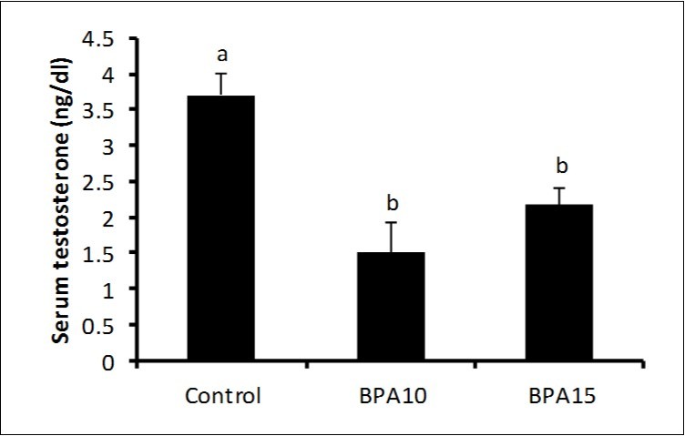 Serum level of testosterone (ng/dl) in control and BPA treated rats.