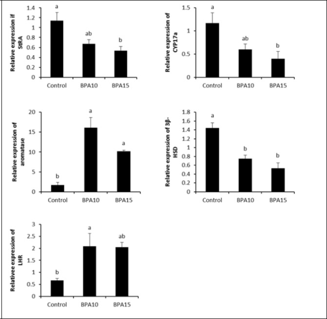 mRNA levels of StAR, CYP17a, aromatase, LHR and 3β-HDS in the control and BPA-treated groups. Small alphabetic letters show significance when (P < 0.05).