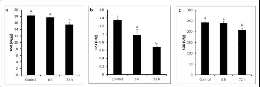 a) GSH concentration, b) GST activity and c) SOD activity in control and LPS-treated groups (4 mg/kg BW ip). Results are expressed as mean ± SEM. The different letters are statistically significant  (P ≤ 0.05).