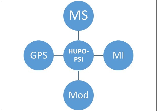 structure of   HUPO-PSI work groups