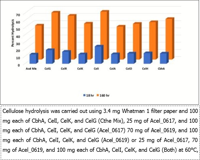 Hydrolysis of filter paper by Acel enzymes supplemented with Cthe cellulases