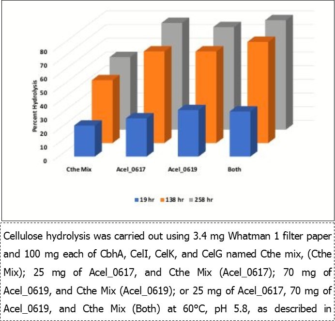 Hydrolysis of filter paper by Cthe enzymes supplemented with Acidothermus cellulases.