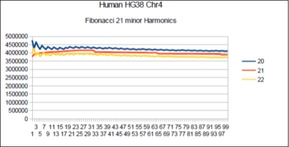Chromosome4 Sapiens HG38 Harmonic resonance of Fibonacci 21.
