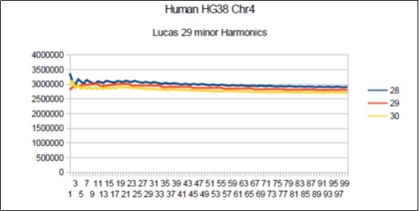 Chromosome4 Sapiens HG38 Harmonic resonance of Lucas 29.