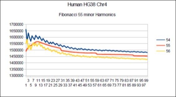 Chromosome4 Sapiens HG38 Harmonic resonance of Fibonacci 55.