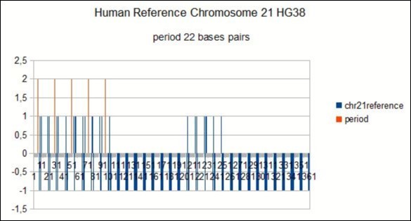 Confirmation of a 22bp period in the whole HG38 human reference chromosome21.