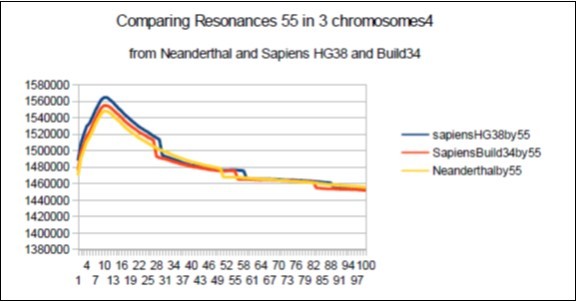 Here the 2 resonances 55 of Sapiens HG38 and Build34 have harmonic wavelengths much lower than the wavelength of the Neanderthal resonance 55.