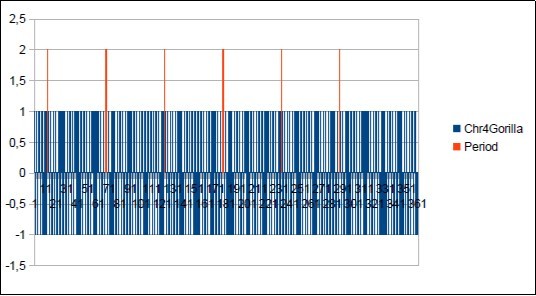 The main period 55 of Gorilla chromosome4.