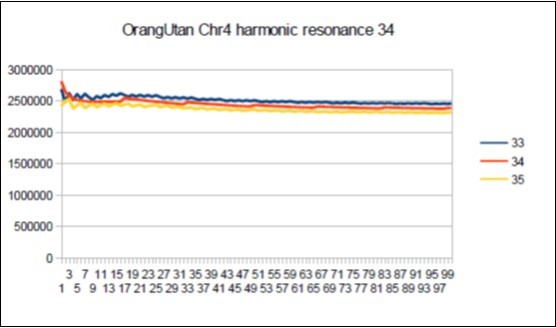 Orangutan chromosome4 harmonic Fibonacci resonance 34.