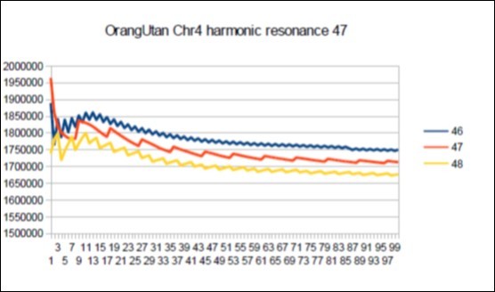 Orangutan chromosome4 harmonic Lucas resonance 47.