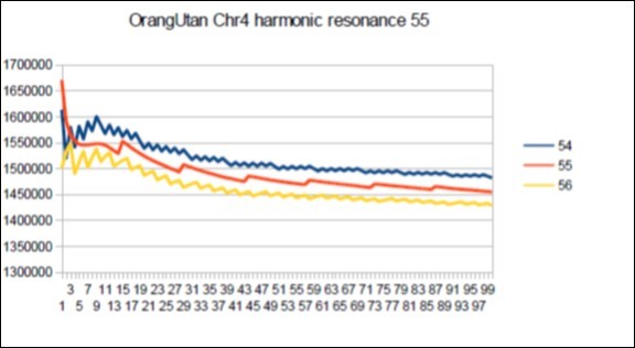 Orangutan chromosome4 harmonic Fibonacci resonance 55.
