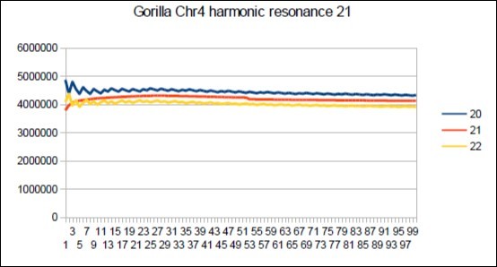 Gorilla chromosome4 harmonic Fibonacci resonance 21.