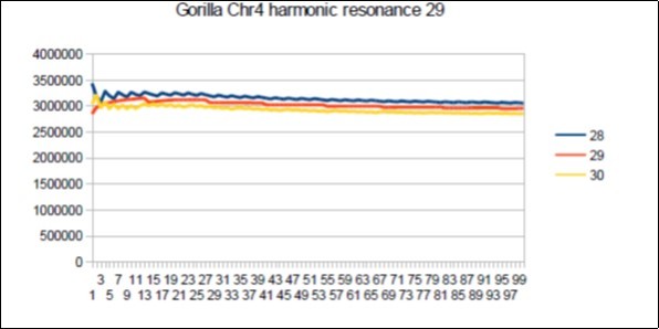 Gorilla chromosome4 harmonic Lucas resonance 29.