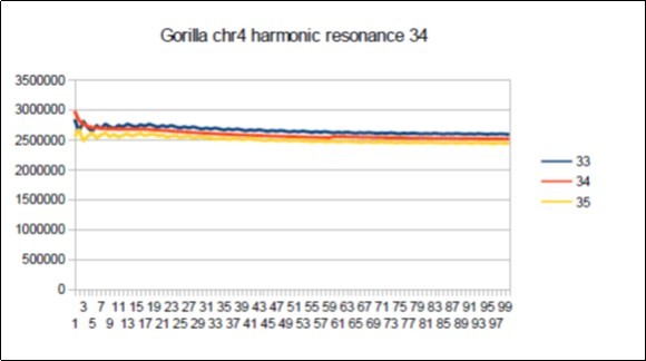 Gorilla chromosome4 harmonic Fibonacci resonance 34.
