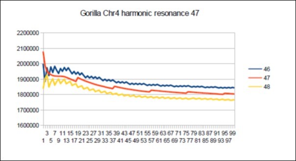 Gorilla chromosome4 harmonic Lucas resonance 47.