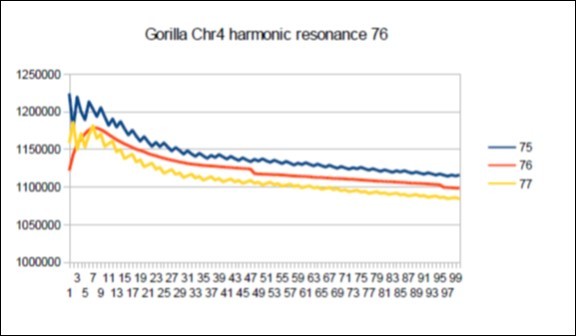 Gorilla chromosome4 harmonic Lucas resonance 76.