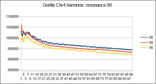 Gorilla chromosome4 harmonic Fibonacci resonance 89.