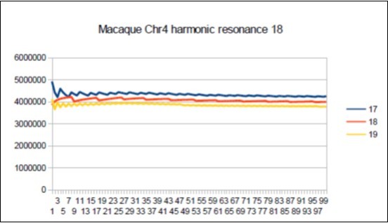 Macaque chromosome4 Lucas resonance 18.