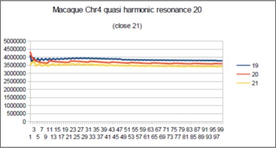 macaque chromosome4 quasi 21 Fibonacci resonance (21-1).