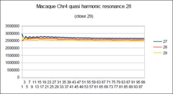 macaque chromosome4 quasi 29 Lucas resonance (29-1).