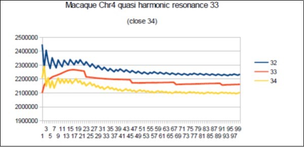macaque chromosome4 quasi 34 Fibonacci resonance (34-1).