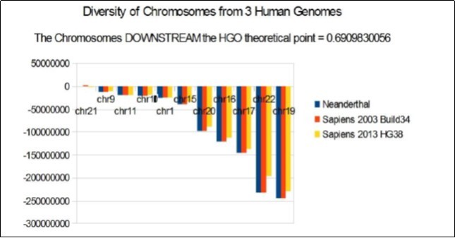Diversity of HGOs of human chromosomes downstream of the numerical ideal attractor     HGO = 0.6909830056