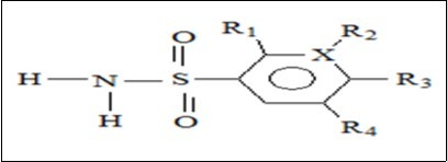 Loop diuretics’ general structure.