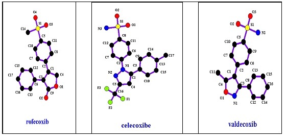 sulfonamide anti-inflammatory agents’ general structures.