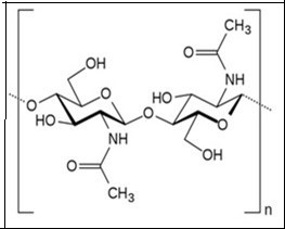 Chemical structure of    chitin.