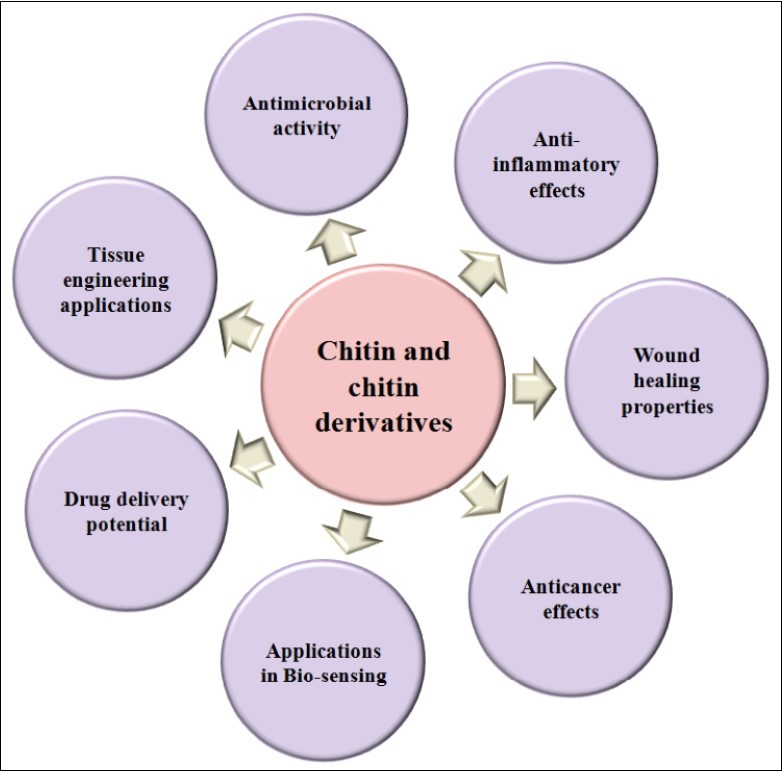 Schematic representation of the biomedical applications of chitin and its derivatives