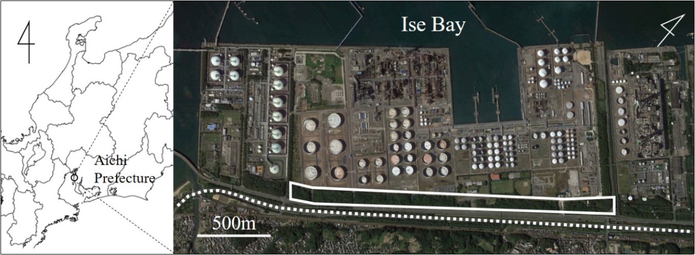 Map and aerial photograph of the industrial green space examined in this study: Aichi Refinery of Idemitsu Kosan Co., Ltd. Solid line and dotted line indicates the industrial green space and the Chita industrial road, respectively. Map data were extracted from Google,               DigitalGlobe.
