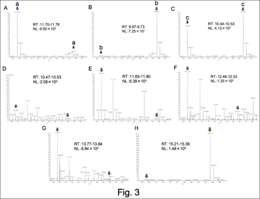 Mass-spectrum of three OHCs (A; 7OHC, B; 24OHC, C; 27OHC) and peaks #1~#5(D~H) of Figure 2. The y-axis shows the relative abundance of each peak normalized to the highest peak. Arrows indicate the peaks of m/z= 367.33 and m/z = 385.33 (those of OHCs). Since the mass-spectrum of #2 (E) and retention time (RT) of two peaks were very similar to those of A, the #2 peak was assigned as 7OHC. Although the mass pattern of another big peak #5 (H) was very similar to that of B (27OHC), this peak was judged other OHC since the retention time of #5 was clearly different from that of 27OHC.