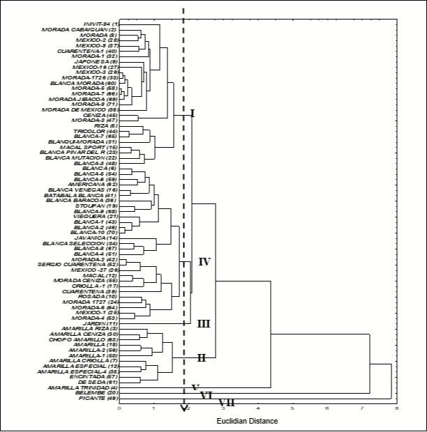 Dendrogram showing the grouping of the accessions of the Cuban collection of the                    Xanthosoma genus from the minimum descriptors selected according to the morpho-agronomic data and the number of chromosomes. The UPGMA method and the Euclidean distance were used.