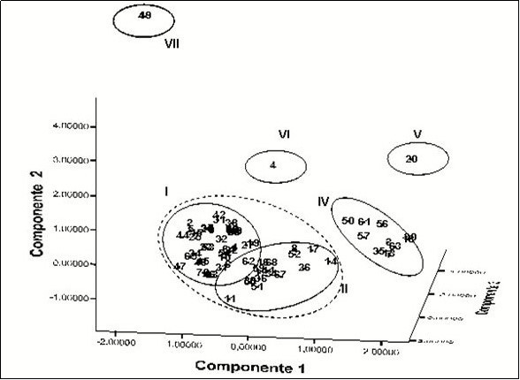 Spatial distribution of the 71 accessions in three components. The distribution was  generated by the PCA of the cytogenetic, isoenzymatic and morpho-agronomic data analyzed in an integrated way.