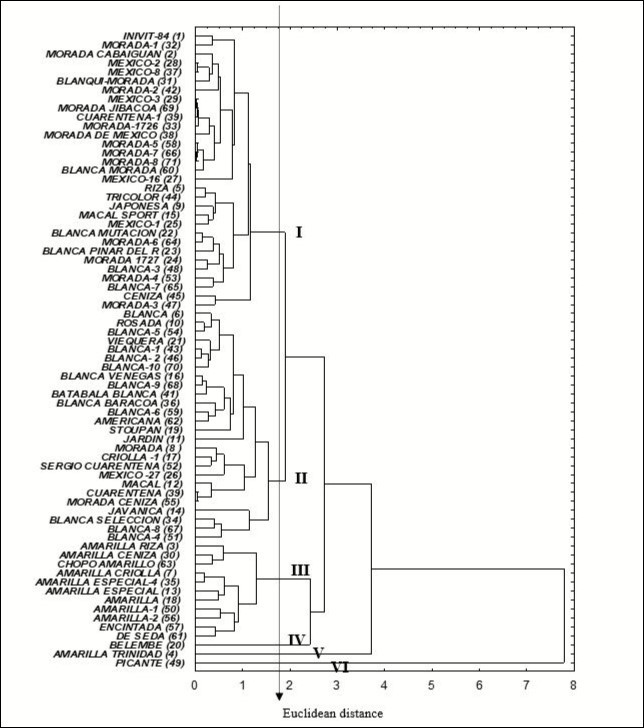 Dendrogram generated by cluster analysis of the integrated data of cytogenetic,                         morphoagronomic and isoenzymatic markers in the Cuban collection of genus Xanthosoma with the                     UPGMA algorithm and the Euclidean distance . Note the formation of six variability groups