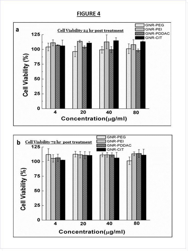 Cell viability of DAN cells at all formulations at (a) 24 hours and (b) 72 hours post treatment, indicating the minimal cytotoxicity of all GNR samples.