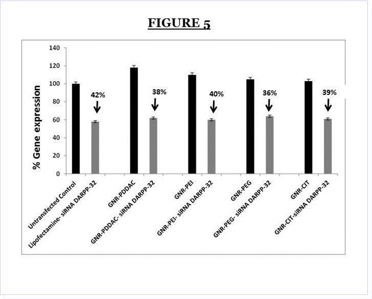 DARPP-32 gene silencing  efficiency of  the different nanoformulations of  GNR ( i.e GNR- PDDAC, GNR-PEI, GNR-PEG and GNR-CIT respectively)  and DARPP32siRNA complexes  as compared to the transfection efficiency of Lipofectamine- DARPP-32 siRNA nanoplex in DAN cells.. DAN  (1 x 105cells/ml) were treated in vitro with GNR-DARPP-32siRNA nanoplexes, and  the commercially available transfection reagent Lipofectamine  (Invitrogen)  for 48 hr.  RNA was extracted, reverse transcribed, cDNA amplified and the  DARPP-32 gene expression was determined 48h hr post transfection by real time quantitative PCR. Relative expression of mRNA species was calculated using the comparativeCT method. Data are the mean ± SD of 3 separate experiments done in triplicate. Our results show a  ~40%   suppression in DARPP-32 gene expression in DAN cells that were transfected with the GNR-DARPP-32 siRNA nanoplexes.   No significant differences were observed  in DARPP-32 gene silencing between the various GNR nanoformulations and the transfection efficiency was similar to that of the commercially available transfection reagent lipofectamine.