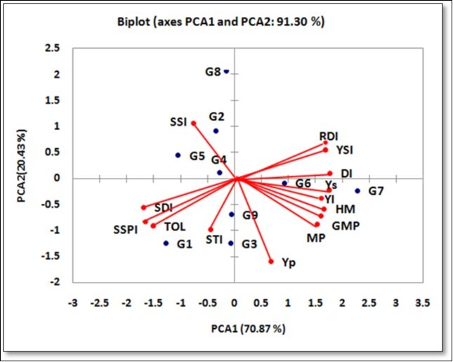 Biplot of the first two principal component axes for nine              sugar beet genotypes for the severe stress conditions (control-50%               analysis)