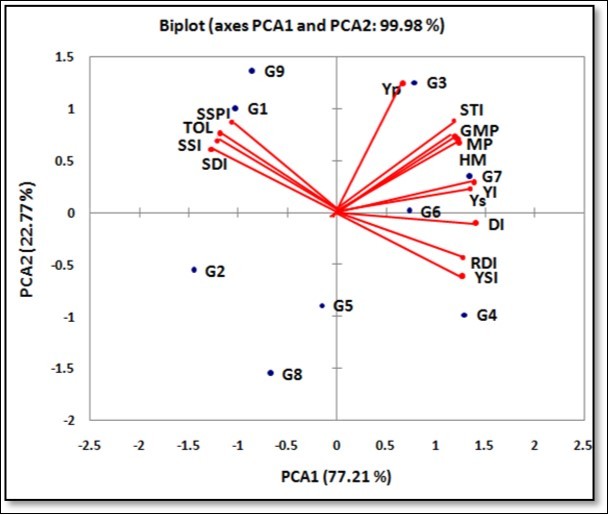 Biplot of the first two principal component axes for nine sugar beet genotypes for the Moderate stress conditions (control-75% analysis)
