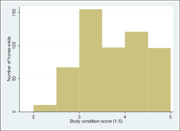 Frequency distribution of body condition scores at 540 monthly visits for 48 Pony Club horses that were examined monthly for 10 to 13 consecutive months