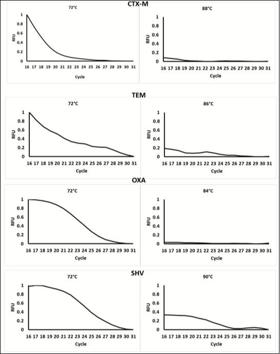 Data showing the change in fluorescence at cycle 16-31 (when florescence) at low  temperature and at the meeting of each amplicon. Data was normalized to the                highest relative fluorescent unit (RFU). At temperature below the Tm, fluorescence                   decreases as product Increases each cycle. This is due to the Incorporation of the                       Dabcyl-iso-dGTP quencher contained within the mastermix. At higher temperatures,                  fluorescence is very low as the majority of fluorescent reporters have been quenched. This change in fluorescence occurs at different temperatures for each amplicon, therefore, the different products can be distinguished based on temperature.