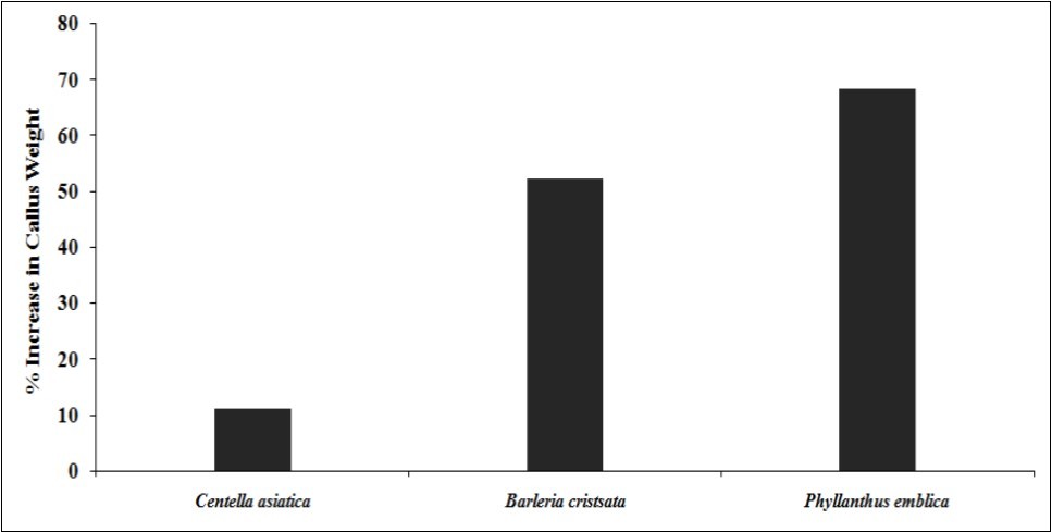 Comparative analysis of change in callus weight in Phyllanthus emblica, Barleria cristata, and       Centella asiatica after Biofield Energy Healing Treatment.