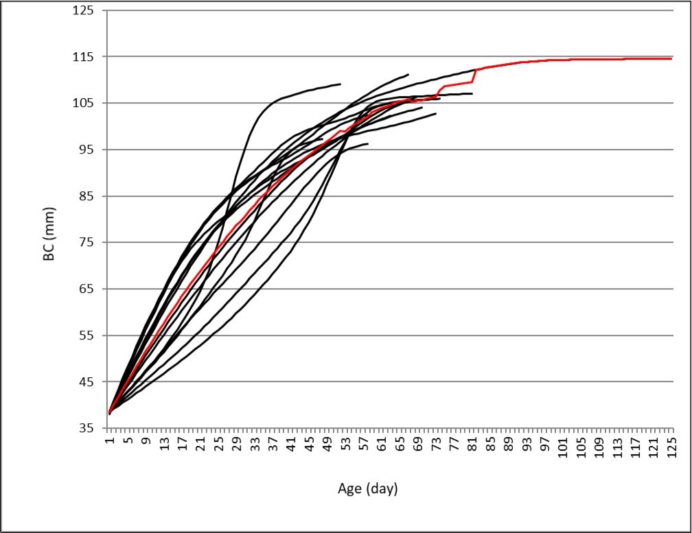 Growth curves and the mean curve (red) related to BH