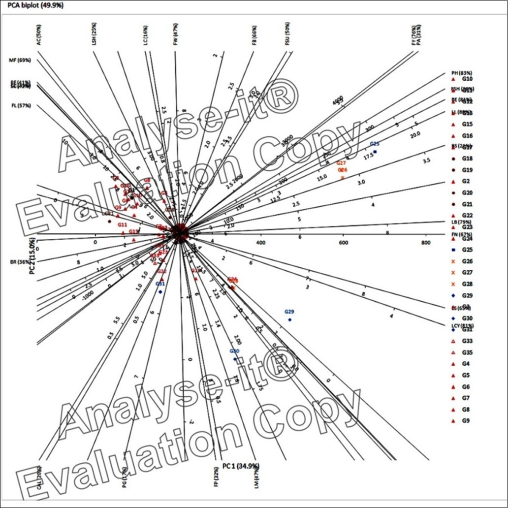 PCA Biplot diagram of chilli genotypes based on PC 1 and PC 2