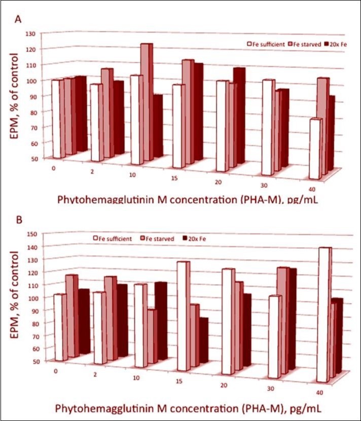 Relative electrophoretic mobility (EPM) of (A) spheroplasts treated by PHA-M or (B) pretreated by PHA-M and then illuminated. The medium contained 25 mM HEPES (KOH) buffer and 10 mM NaCl at pH 7.5. Data are means of three independent experiments (n=50-70 measured spheroplasts). EPM values measured in the absence of PHA-M are equated to 100%. The spheroplasts are prepared from the culture of Plectonema boryanum grown at absence (Fe-starved culture, light red columns) or in the presence of iron in the cultivating medium at concentrations: 37.2 μg L-1 Fe2+ (Fe-sufficient culture, white columns) and 744.9 μg L-1 Fe2+ (Fe-excess culture, black columns).