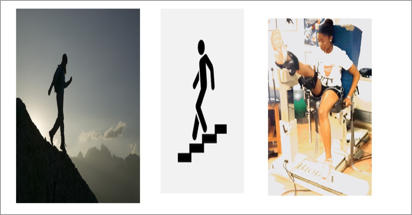 Movement patterns of dominant eccentric contraction themes